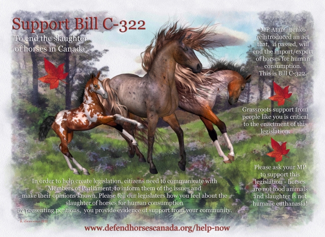 Please support Bill C-322 to end horse slaughter in Canada