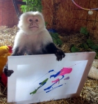 Beyond The Brush:  Who Is Pockets Warhol, The Painting Monkey?